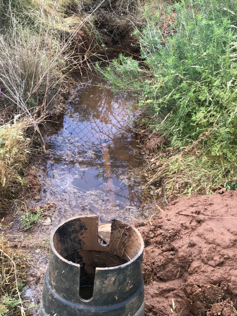 Main water line leak in Catalina AZ 2